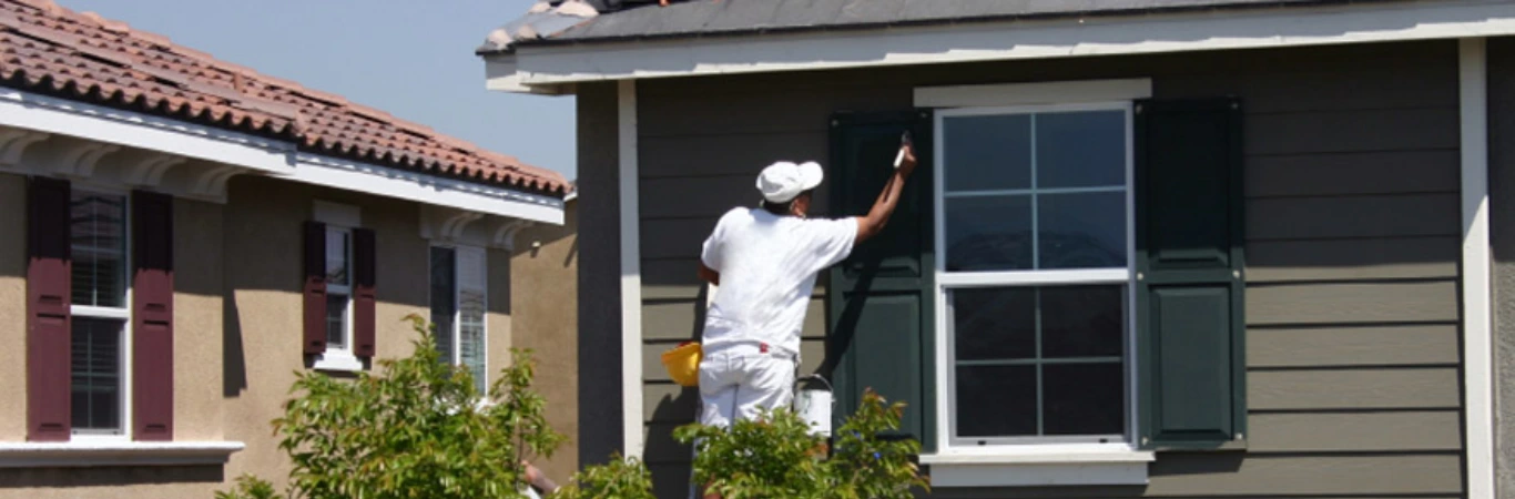 Exterior Painting Service in Dunedin
