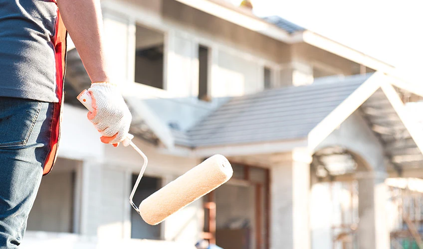 Professional Interior House Painting in Dunedin