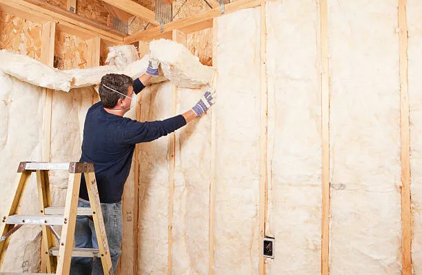 Wall insulation service